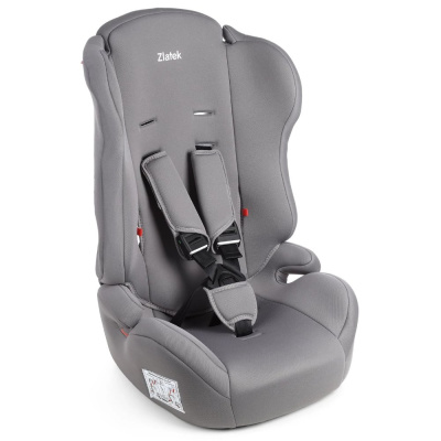 Автокресло Zlatek Atlantic basic ZL513 KRES4139 муссон 01